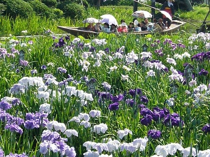 wodny ogrod botaniczny suigo sawara quasi park narodowy suigo tsukuba
