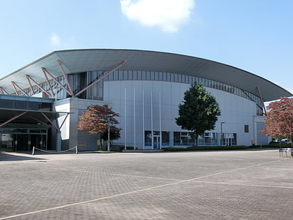 TKC Strawberry Arena