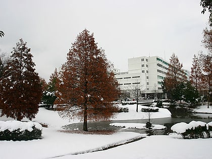 Universität Gifu