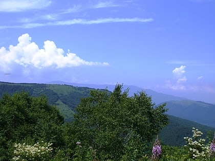 Mount Ōsasa