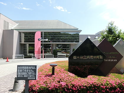 tochigi prefectural south gymnasium oyama