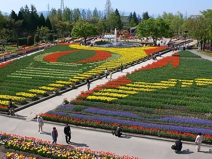 tonami tulip park