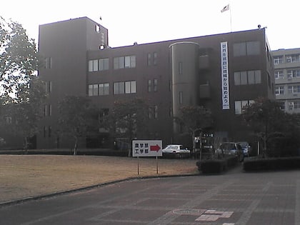 universidad de miyazaki