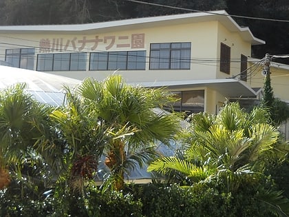 jardin tropical y de cocodrilos atagawa higashiizu