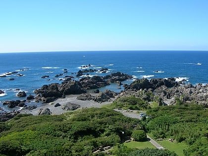 muroto muroto anan kaigan quasi national park