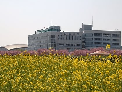 hakuoh university oyama