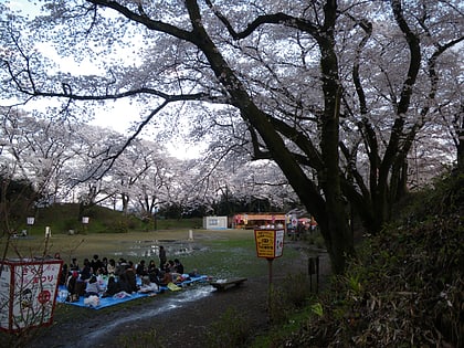 otawara castle