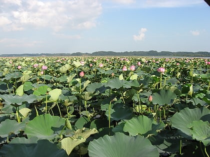 izunuma uchinuma kurihara