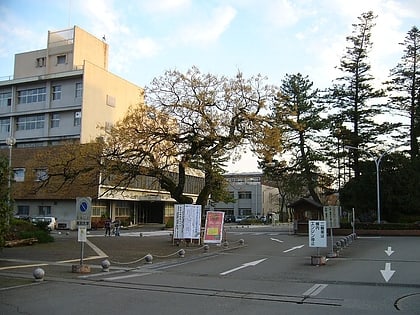 Universität Kōchi