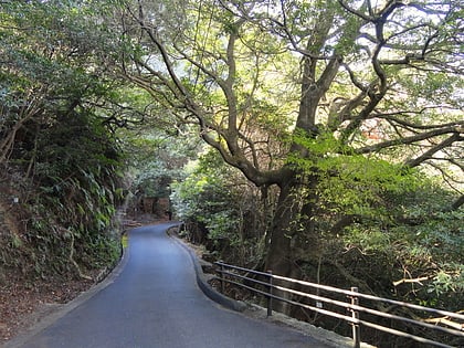 miyajima natural botanical garden itsukushima