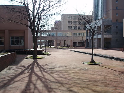 nagaoka university of technology