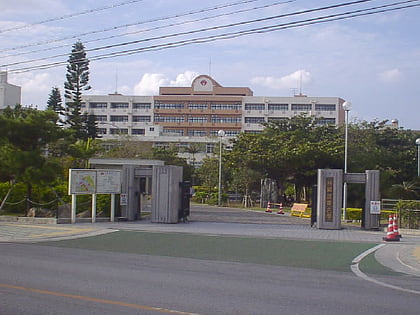 Université internationale d'Okinawa