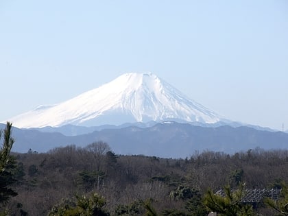arahata fuji shrine tokorozawa