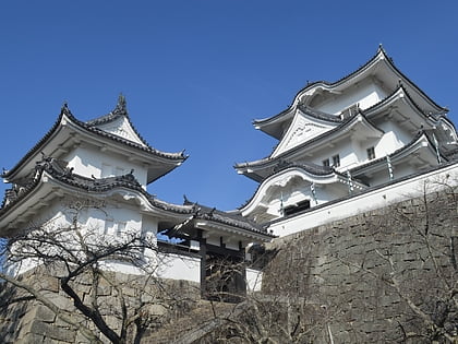 iga ueno castle