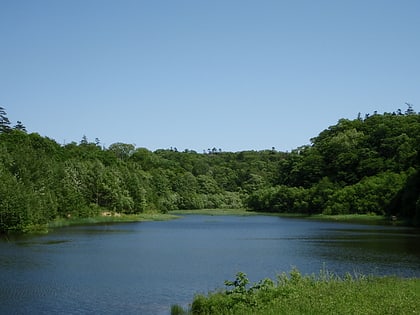 Nopporo Shinrin Kōen Prefectural Natural Park