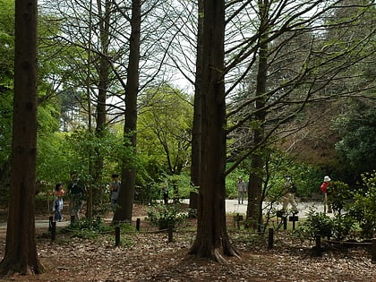 arboreto municipal de kobe