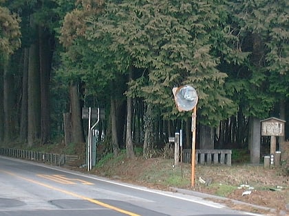 cedar avenue of nikko