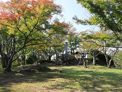 ogyu castle toyota