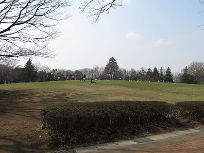 Fuchū-no-Mori Park