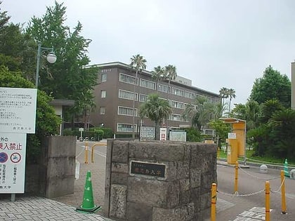 universidad de kagoshima