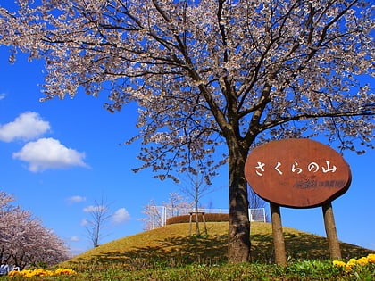 sakuranoyama park narita