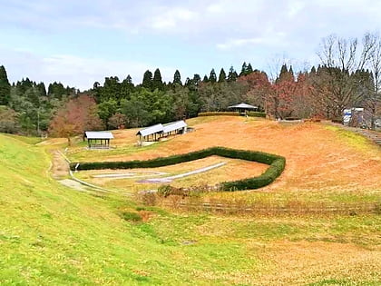 kosugimaruyama site takaoka