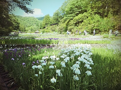 banshu yamasaki iris garden shiso