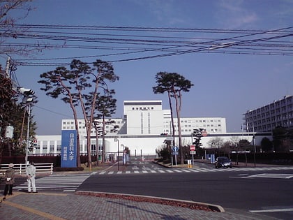 jichi medical university shimotsuke