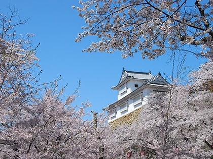 chateau de tsuyama