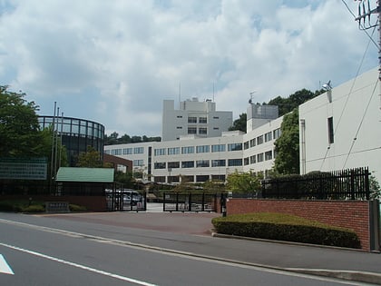 shohoku college atsugi
