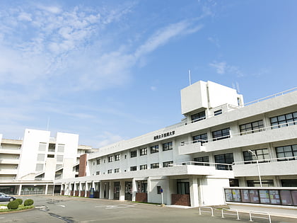 fukuoka international university chikushino