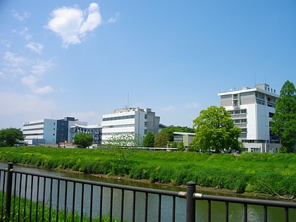 bunkyo university saitama