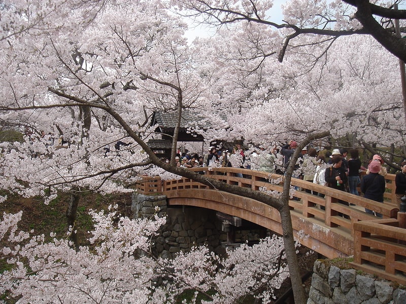 takato castle ina