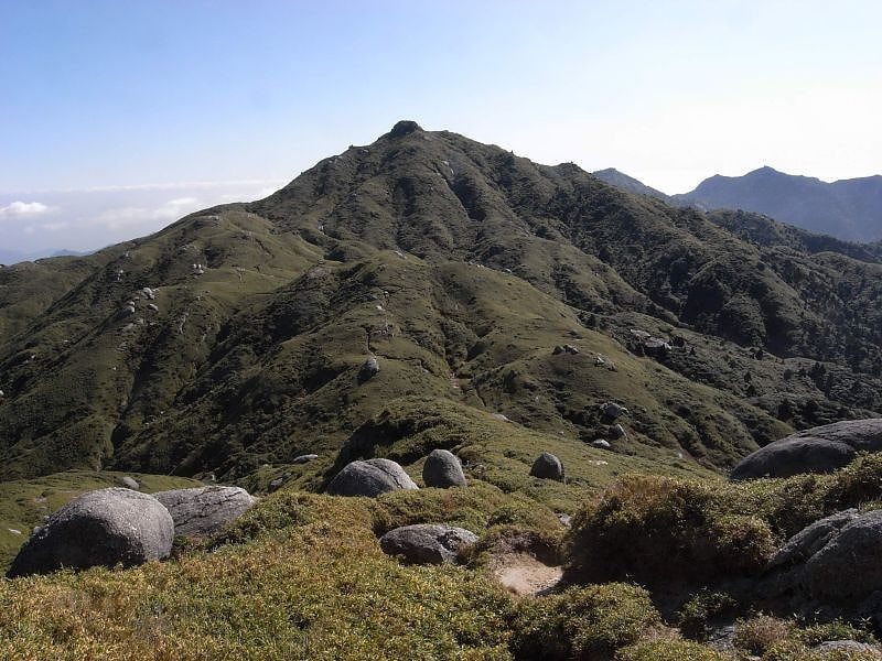 Yakushima National Park