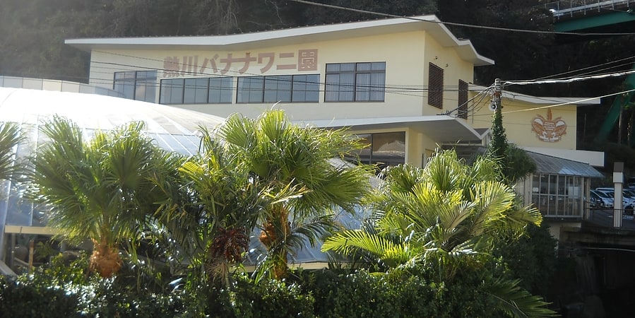 jardin tropical y de cocodrilos atagawa higashiizu