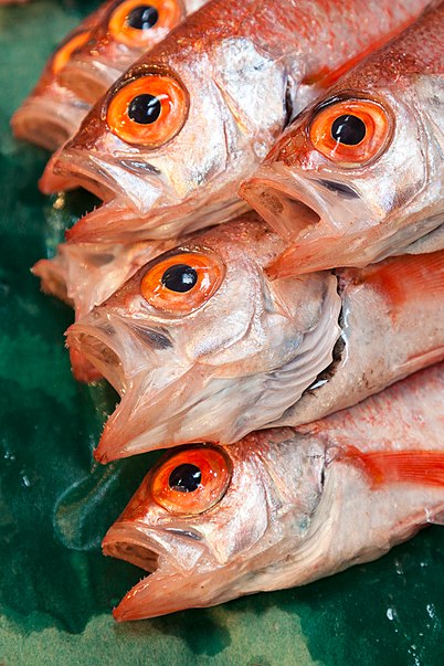 Tsukiji-Fischmarkt