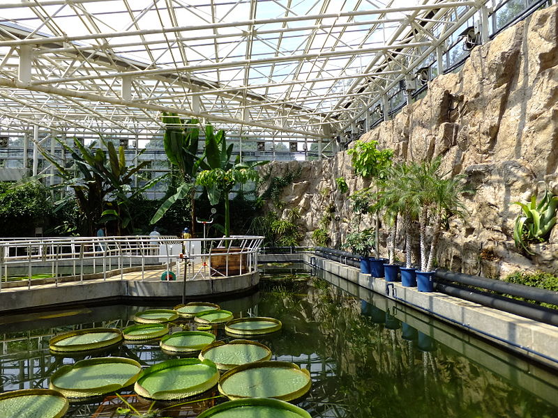 Jardin botanique de Jindai