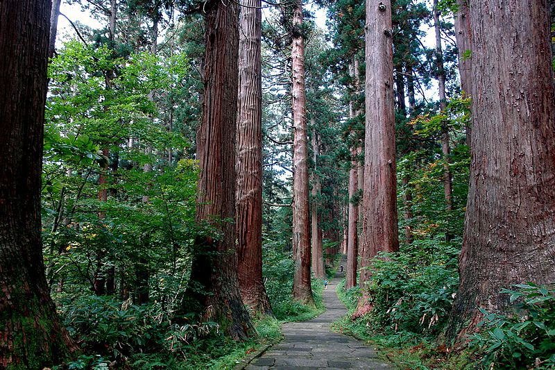 Mount Haguro