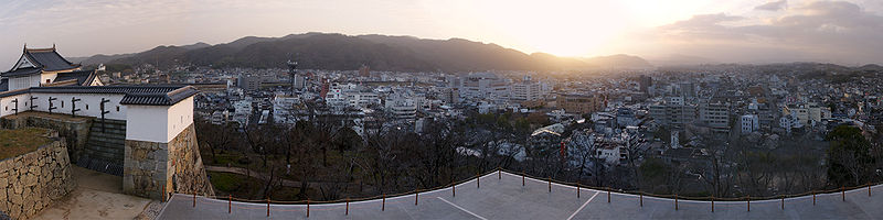 Tsuyama Castle