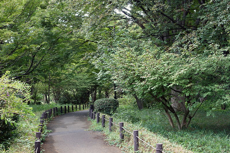 Kitanomaru-Park