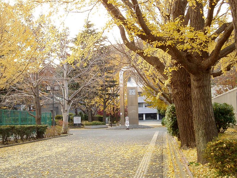 Université municipale de Yokohama