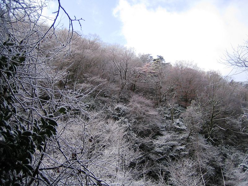 Mount Yajuro