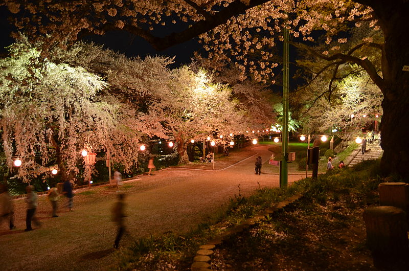 Japanisches Südseemandat