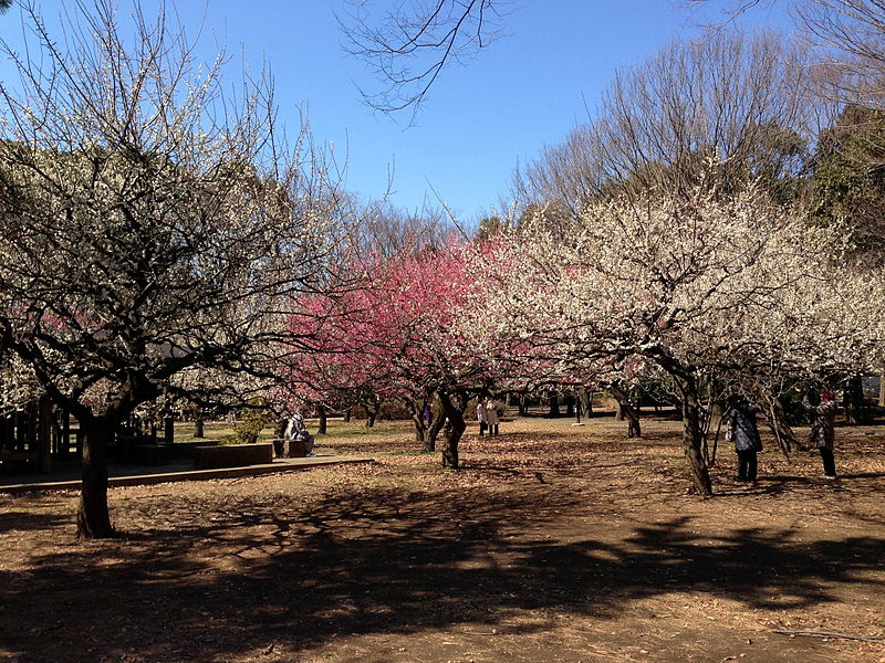 Parc de Kinuta