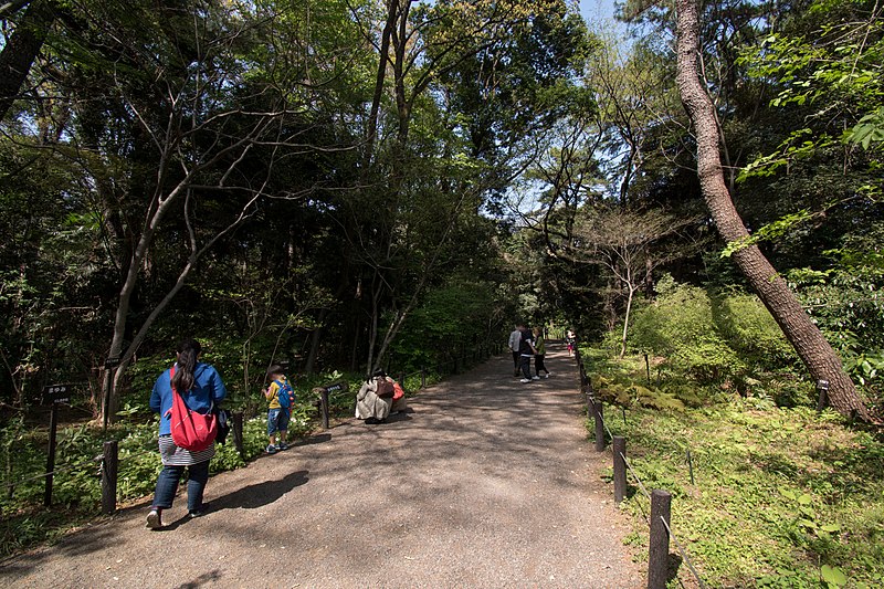 Nationalpark für Naturstudien