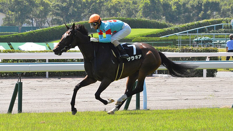 Kokura Racecourse