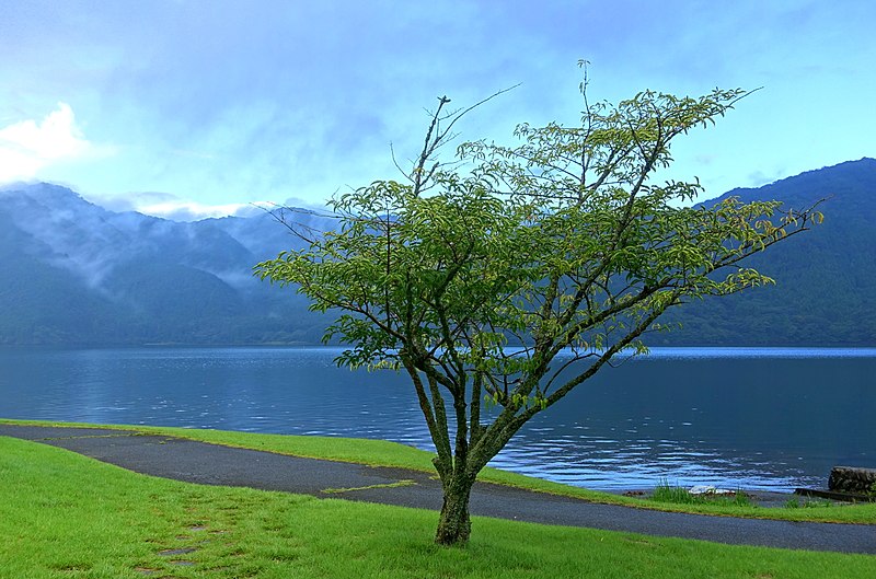 Lac Ashi