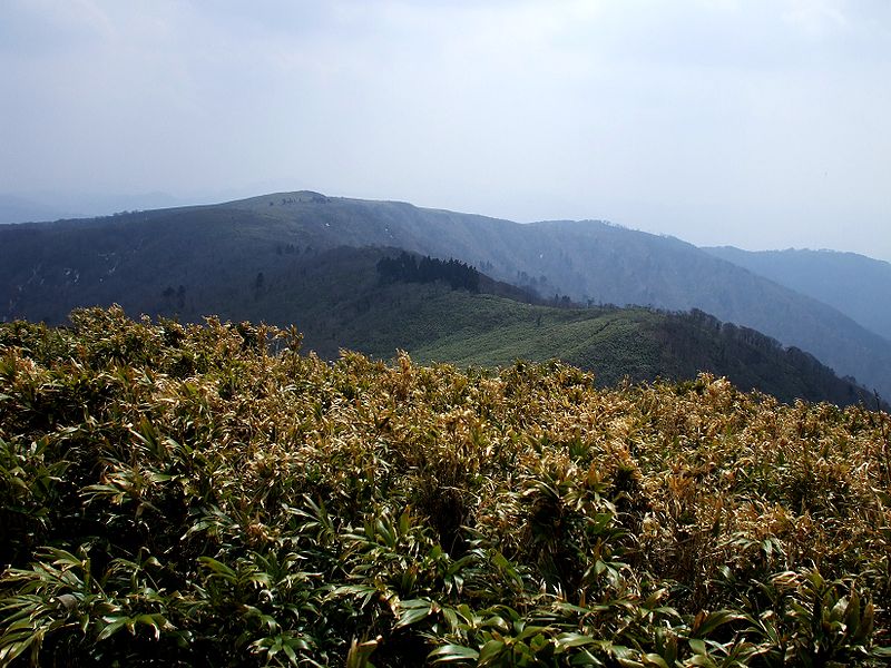 Mont Hyōno