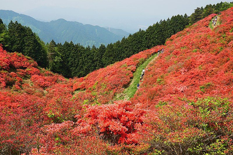 Mount Yamato Katsuragi