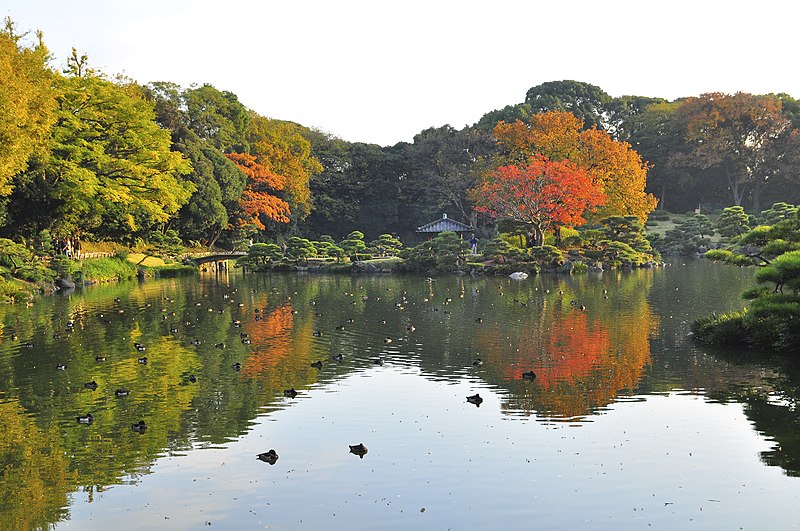Kiyosumi-Park